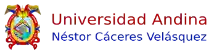 universidad andina